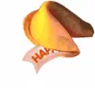HAPPY BIRTHDAY FORTUNE COOKIE