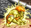 blanka
