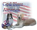 usa1