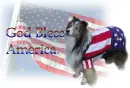 usa2