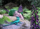Boy Fairy