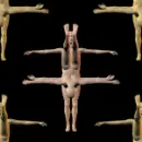 human wheel