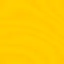 sunshine lizard tile