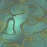 gold turquoise