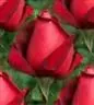 rose tile 2