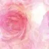 rose tile 4