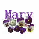 Mary