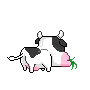 cow eating grass