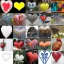 Hearts