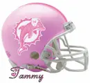 Miami Dolphins Pink Helmet with Name