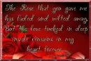 The Rose You Gave To Me