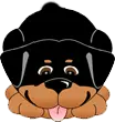 cute puppy wagging his tail
