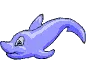 cute dolphin