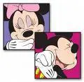 mouse.