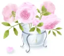roses
