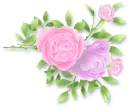 roses