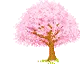 pink tree