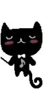 black cat
