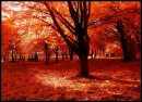 Fall Day