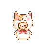 baby cat