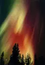 northern lites