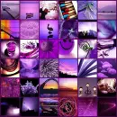 purple mix