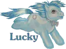 My little pony boy Lucky