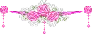 PINK ROSES