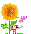 cute kawaii jaja flower for you