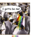 gay pride :)