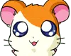 cute hamtaro