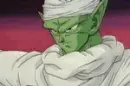Dbz Group