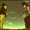 Goku and Vegeta