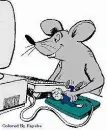 the "mouse" of the mouse