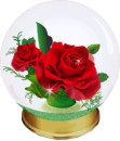 Rose snow globe