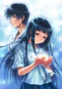 the light of the love