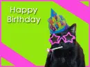 cool cat birthday