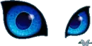 cat eyes