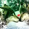 cute wolves