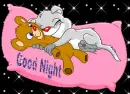 Good Night