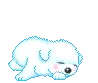 cute magic transformation