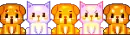 cute pets