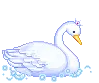  magic fairy tranformation