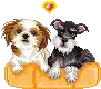 pups