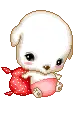 cute pup