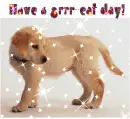 Have a great day!
