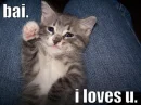 kitten wuvz u!!!!