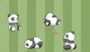 Panda background