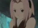 cute sakura