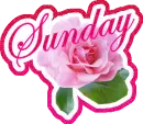 Sunday